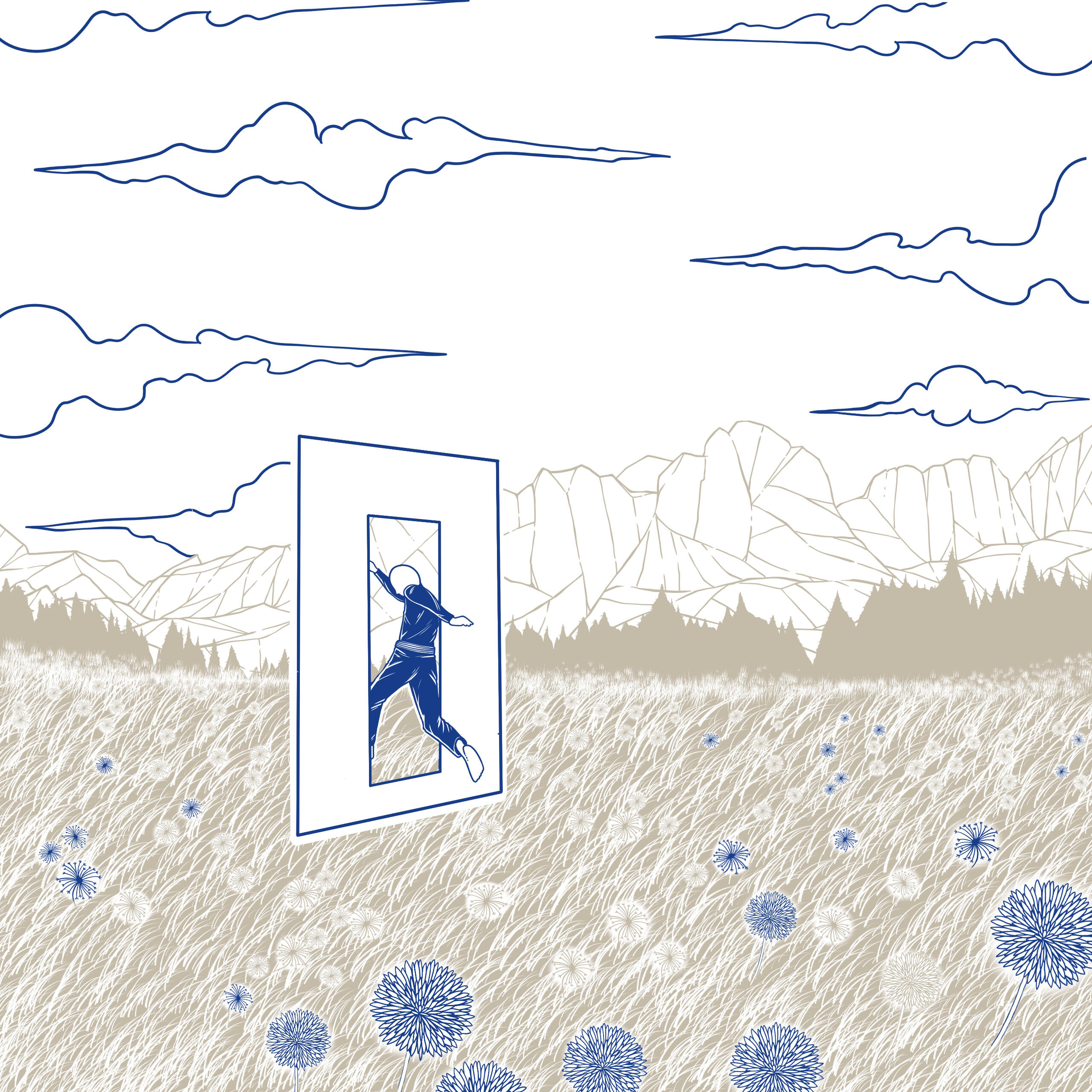 The Newcomer The Newcomer Journey