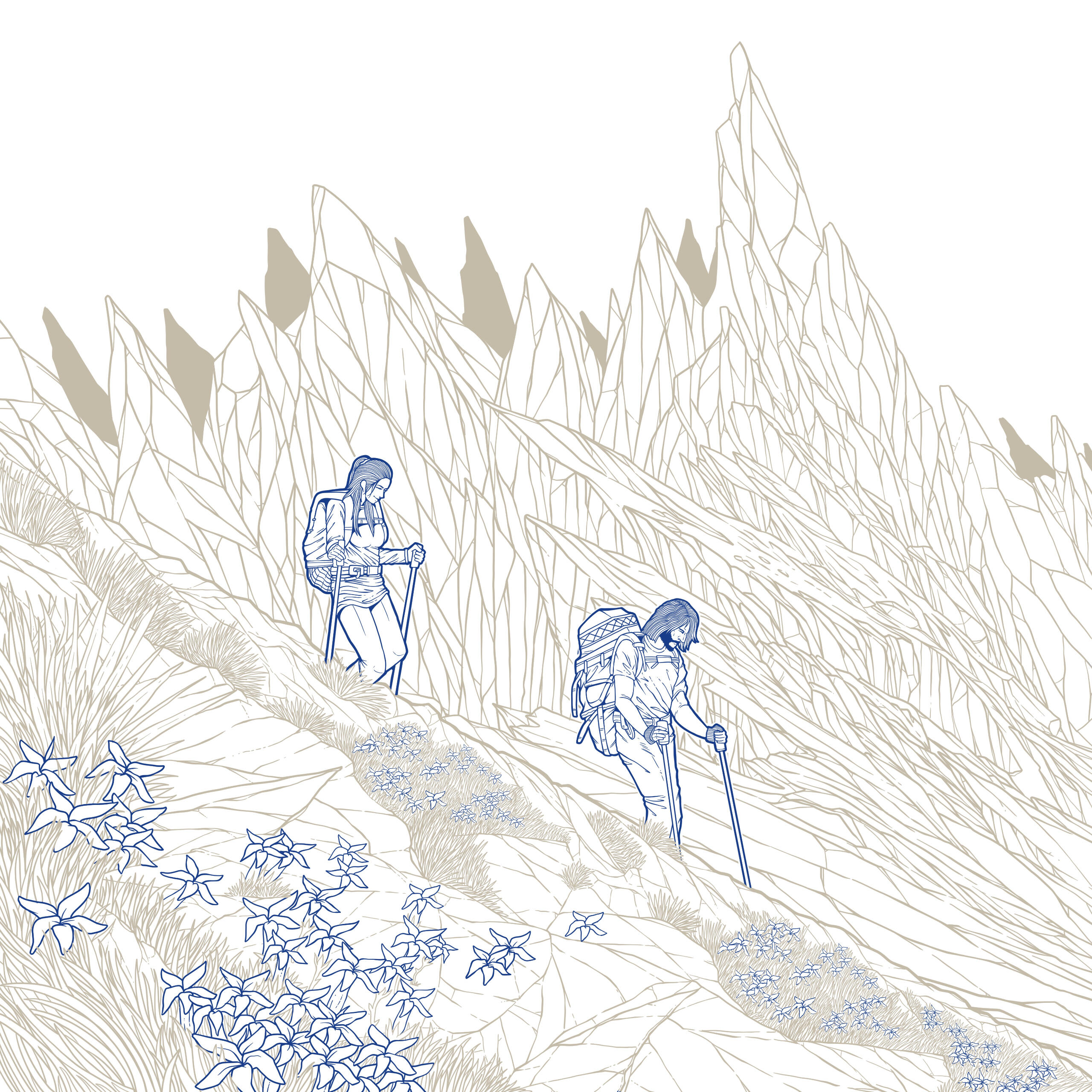 The Newcomer The Newcomer Journey