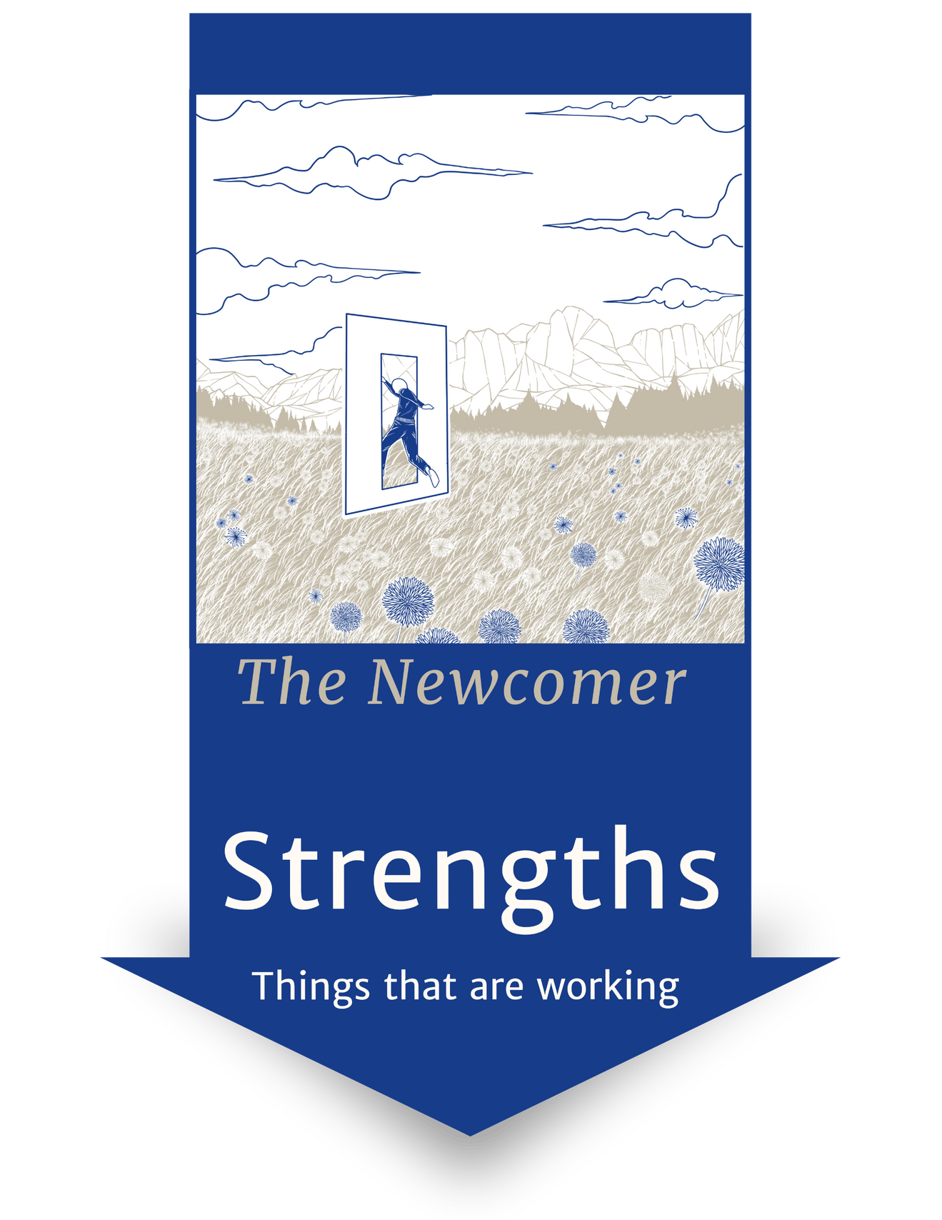 The Newcomer, Strengths Things that are working